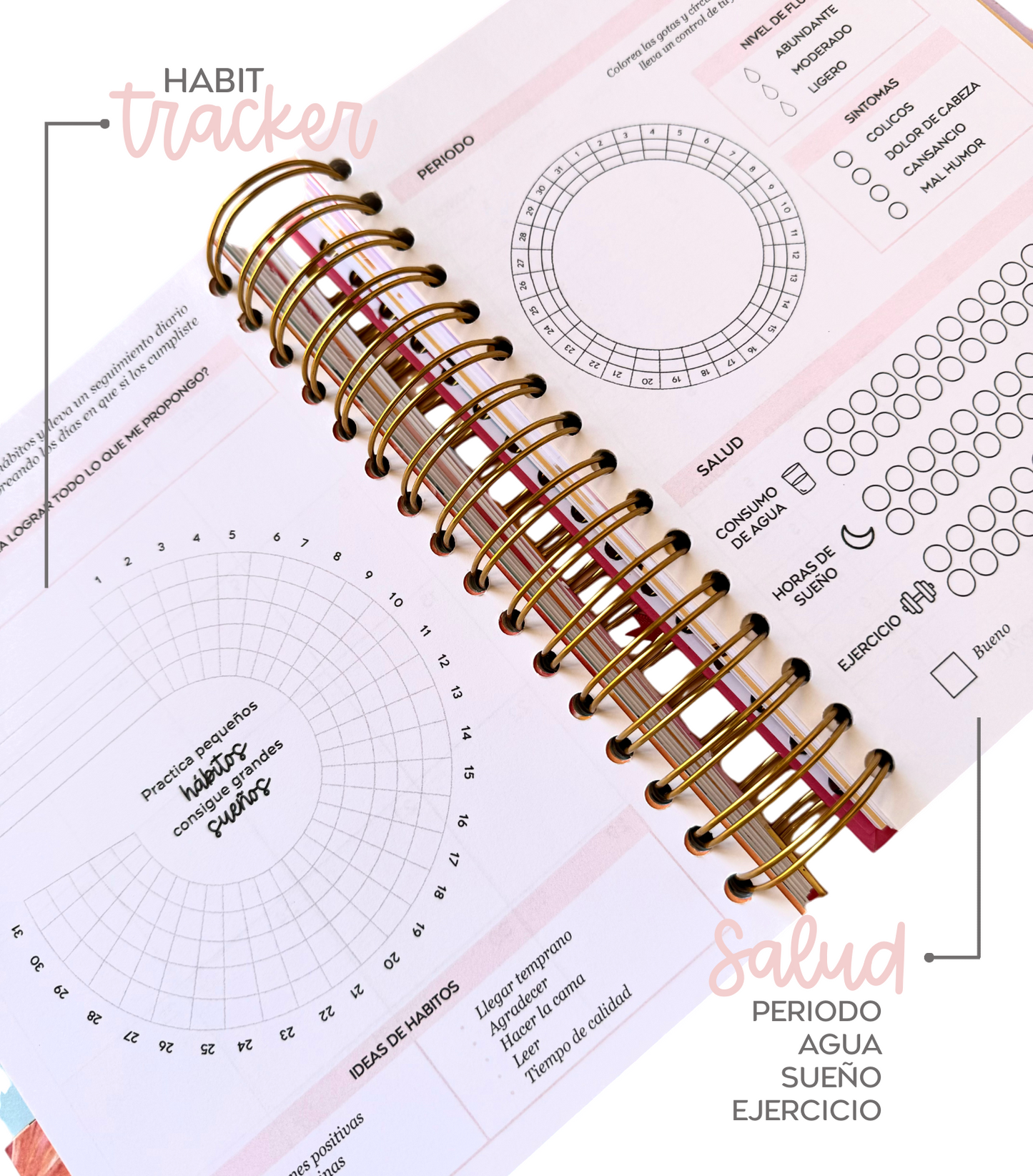 AGENDA DIARIA